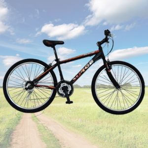 SURGE Rockstar Steel Bikes